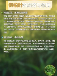 评论图片