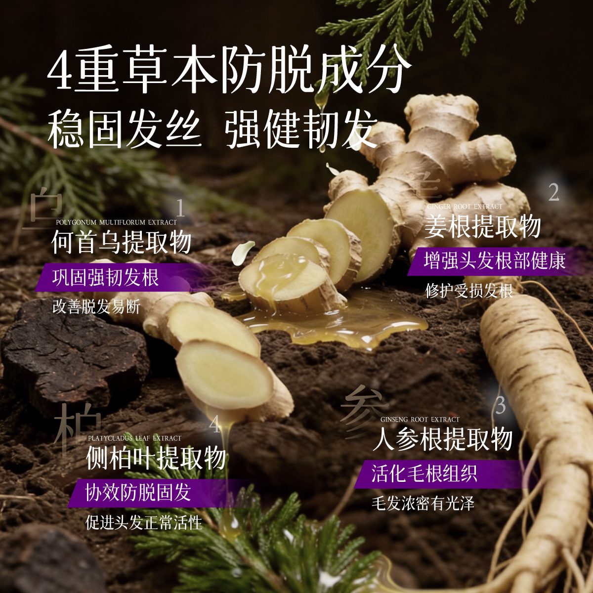 曲蔻防脱洗发水-防脱成分-4重草本防脱-何首乌姜根人参侧柏叶提取物